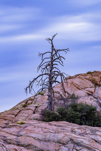 Rough Night In Prescott - Photo by Matt Barry