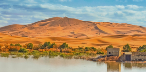 Sahara Oasis Panorama - Photo by Louis Arthur Norton