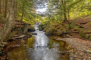 Sanctuary - Photo by Mark Tegtmeier