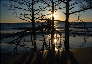 Savannah Sunrise - Photo by Alene Galin