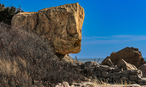 Scary Look - Photo by John Clancy