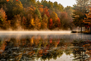 Class B 2nd: September morning in Farmington by Janice Oliveri