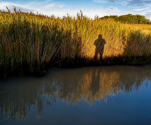 Shadow of an Old Man with Reflection - Photo by John Straub