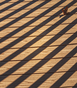 Shadows on the ramp - Photo by Richard Provost