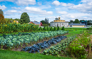 Shaker Village Summer Garden - Photo by Lorraine Cosgrove