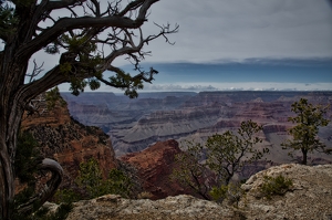 Shaped by Nature - Photo by Ben Skaught