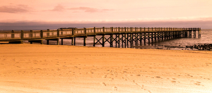 Silver Sands State Beach - Photo by Nancy Schumann