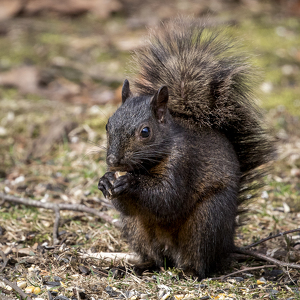 Snack Time - Photo by Elaine Ingraham