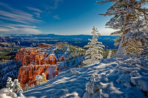 Snow Covered Tree at Rainbow Point - Photo by John McGarry