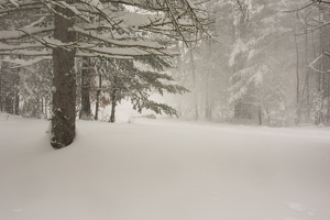 Snow Squall - Photo by Marylou Lavoie