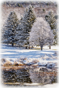 Snow, but no ice on the pond - Photo by Bill Payne