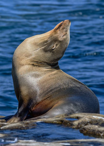 Soakin' Up That Sun - Photo by John Straub