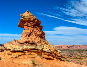 Sorting Hat - Photo by Susan Case