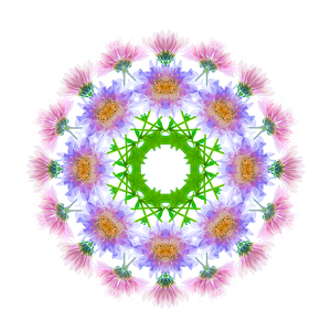 Spring Mandala - Photo by Linda Fickinger