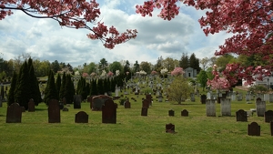 Springtime with the ancestors - Photo by Jim Patrina