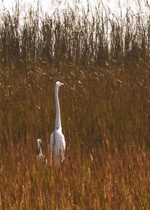 Stand by Me - Photo by Quyen Phan