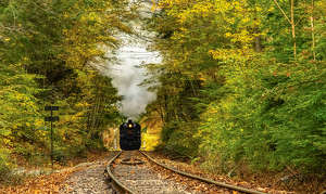 Steaming down the tracks - Photo by Libby Lord