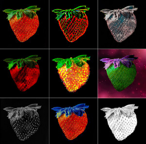 Class B 1st: Strawberry 9 ways by Bert Sirkin