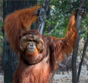 Striking a Pose - Photo by Susan Case