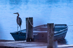 Sunrise Dock - Photo by Peter Rossato