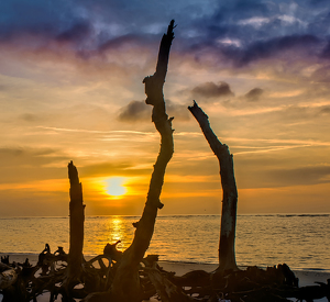 Sunrise Framed - Photo by Alene Galin