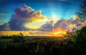 Sunrise Marsh - Photo by Mary Anne Sirkin