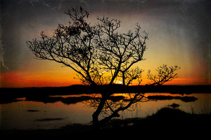 sunset at plumb island Mass. - Photo by John Parisi