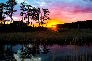 Sunset on Chincotegue Island - Photo by Libby Lord