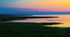 Sunset on the Bay - Photo by Libby Lord