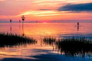 Sunset Paddler - Photo by Libby Lord