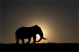 Sunset Stroll - Photo by Nancy Schumann