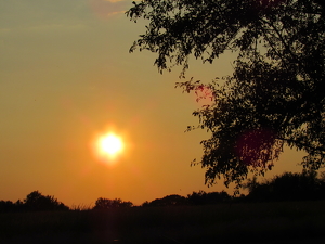 Sunset - Photo by James Haney