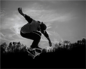 Surfing the Tree Tops - Photo by John Straub