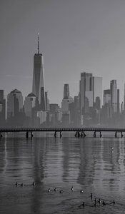 Swimming to the Promise Land - Photo by Jim Patrina