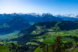 Swiss Family Farmers - Photo by Arthur McMannus