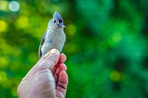 TRUST - Photo by Aadarsh Gopalakrishna