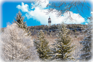 The Day After the Snow Storm - Photo by Bill Payne