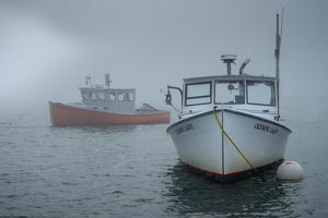 The Fog is Clearing - Photo by Bill Payne