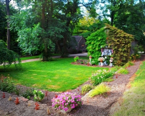 The garden on the back wall - Photo by Charles Huband