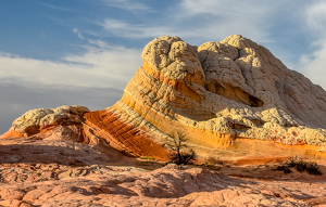 The Incredible Colors Of "White Pockets" - Page AZ - Photo by Susan Case