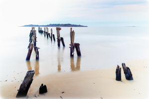 The Old Dock's Pilings - Photo by Bill Payne