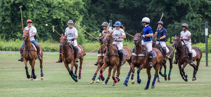 Salon HM: The Polo Match by Susan Poirier