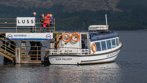 The Waterbus - Photo by Karin Lessard