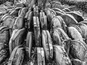 Class B 2nd: Thomas Hardy Tombstones by John Clancy