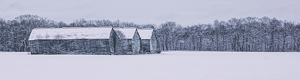 Three Sisters of Hoskins - Photo by Jim Patrina