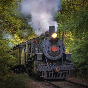 Through the September Woods by Bill Payne