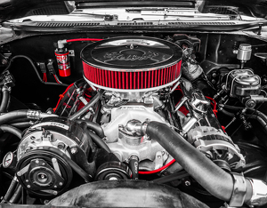 Timeless Horsepower - Photo by Julie Keller