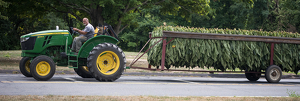 Tobacco Road - Photo by Bill Latournes