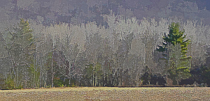 Toward Talcot Mountain - Photo by Bruce Metzger