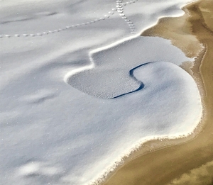 Class B 1st: tracks in the snow by Wendy Rosenberg